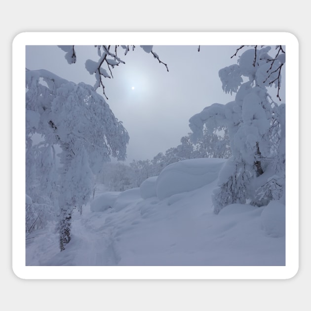 Winter Wonderland Fresh Snow Photo Sticker by Artstastic